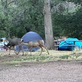 Review photo of South Campground — Zion National Park by Justin B., September 6, 2023