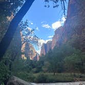 Review photo of South Campground — Zion National Park by Justin B., September 6, 2023