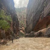 Review photo of South Campground — Zion National Park by Justin B., September 6, 2023