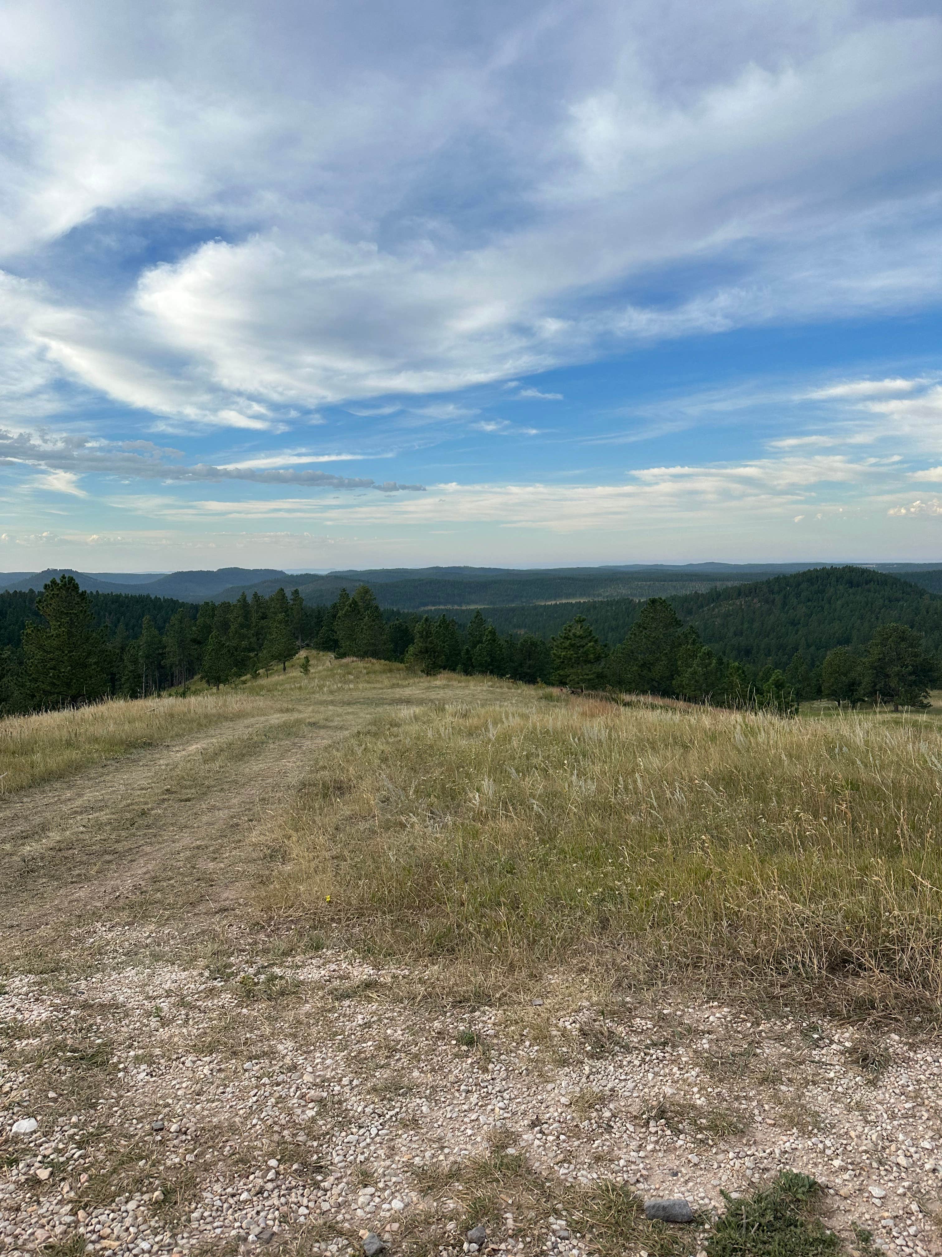 Clint M.'s photo of a dispersed camping area at North Pole Rd Dispersed Camping in South Dakota