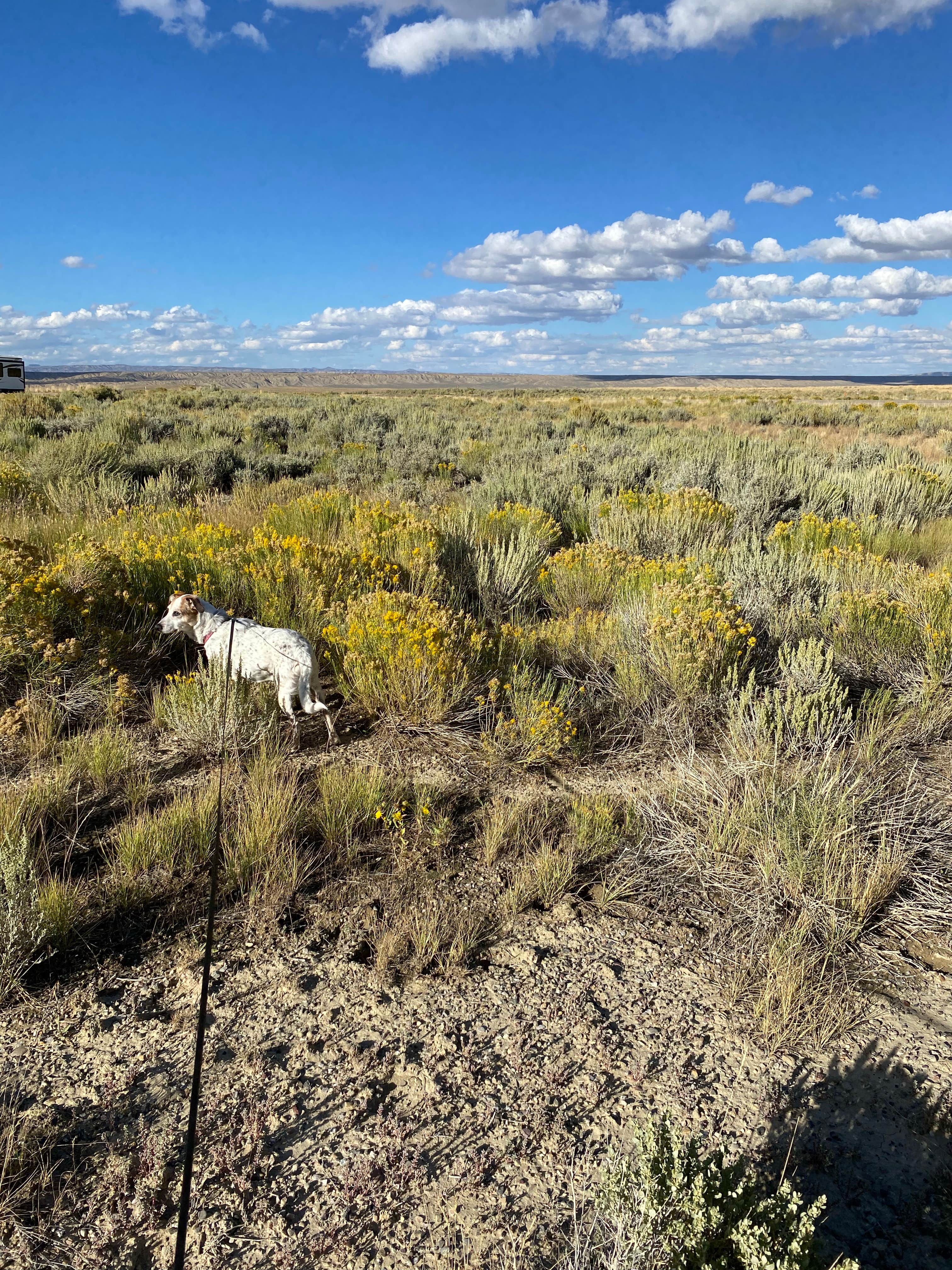 Camper-submitted photo at Middle Baxter Road near Rock Springs, WY