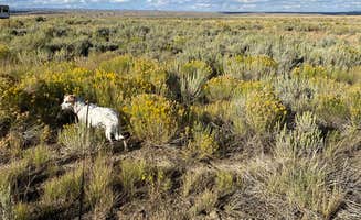 Alba C.'s photo of camping with pets at Middle Baxter Road near Superior, WY