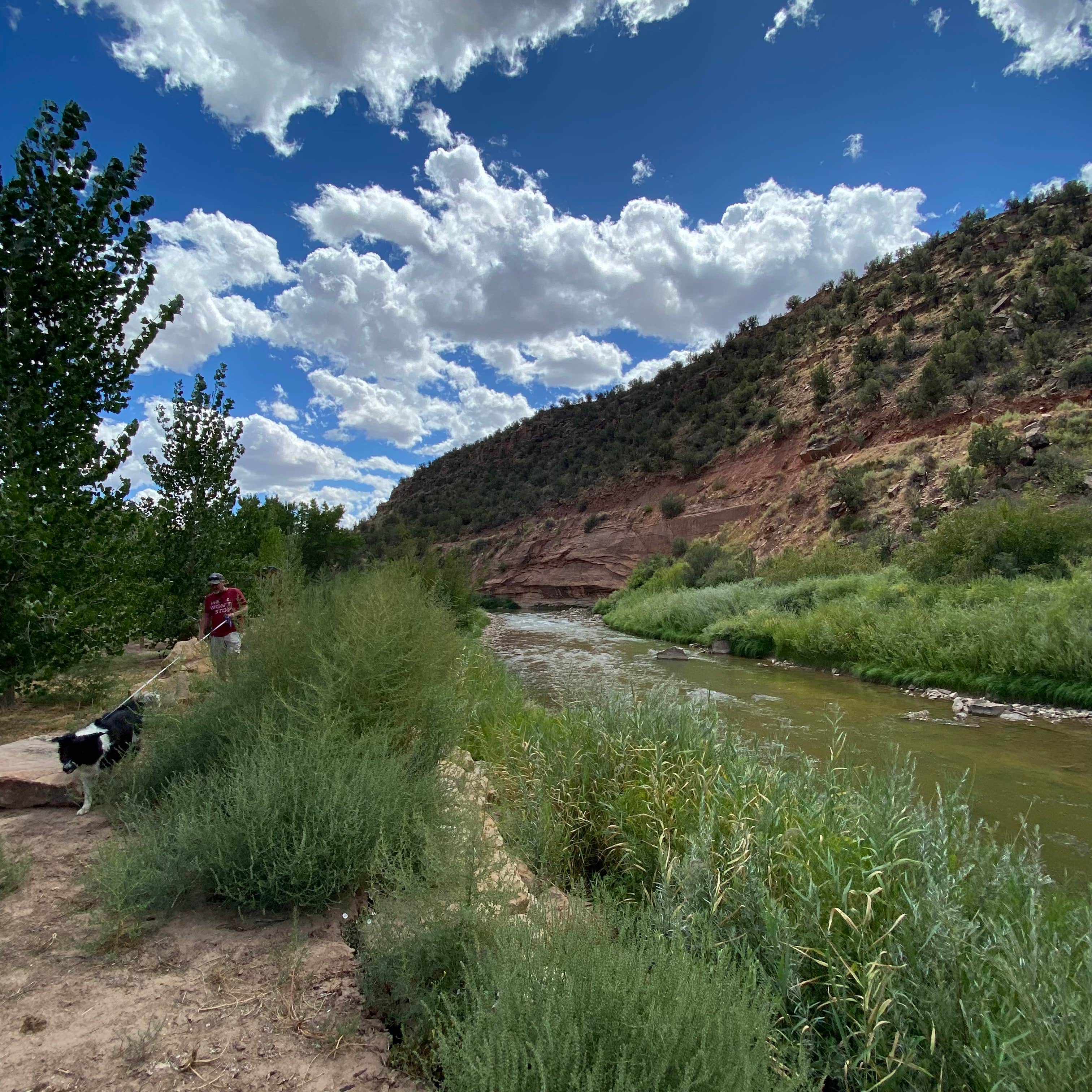 Kim R.'s photo of camping with pets at Uravan Ballpark Campground near Nucla, CO