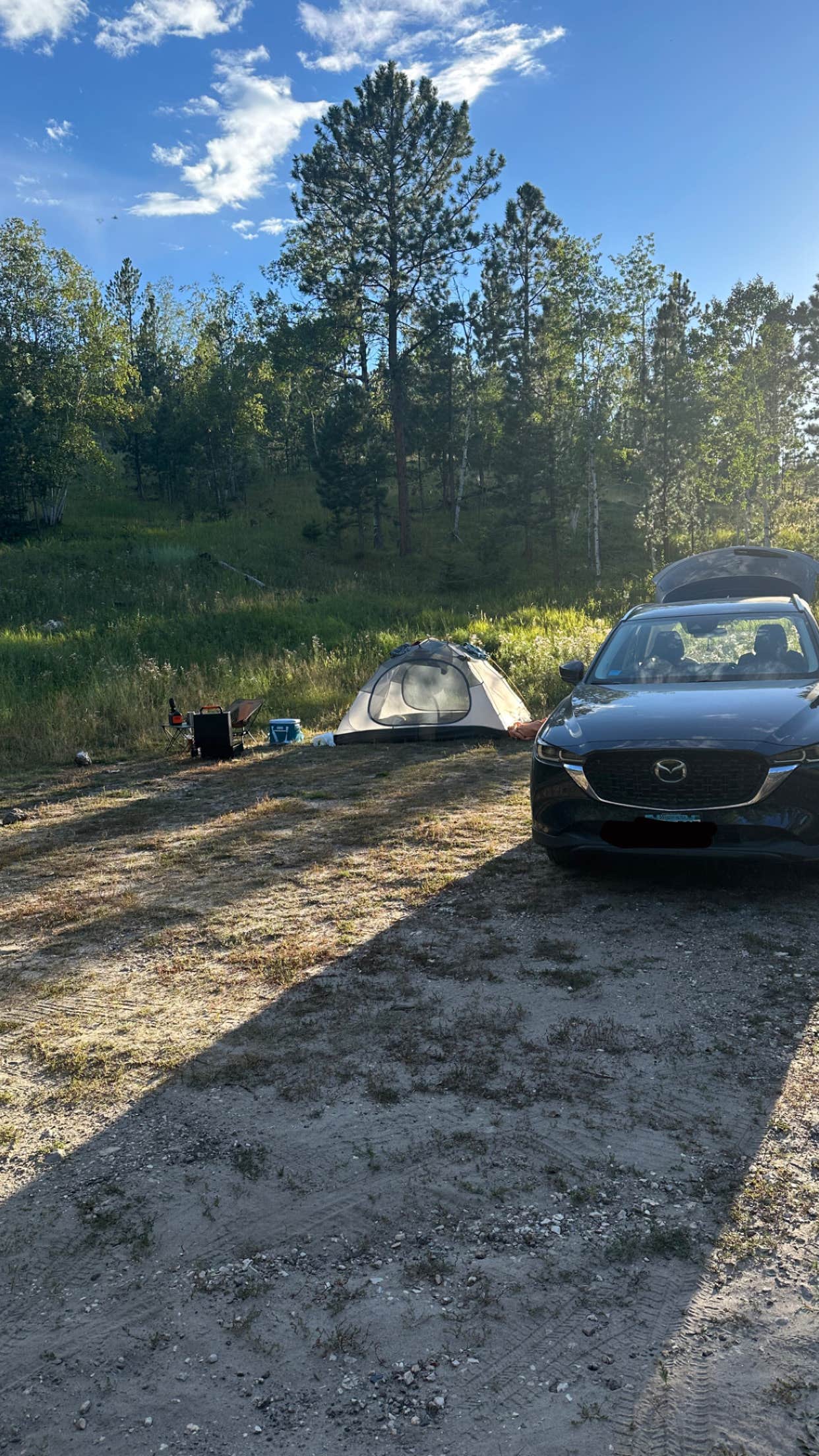 Camper-submitted photo at Needles Highway Dispersed Site near Hill City, SD