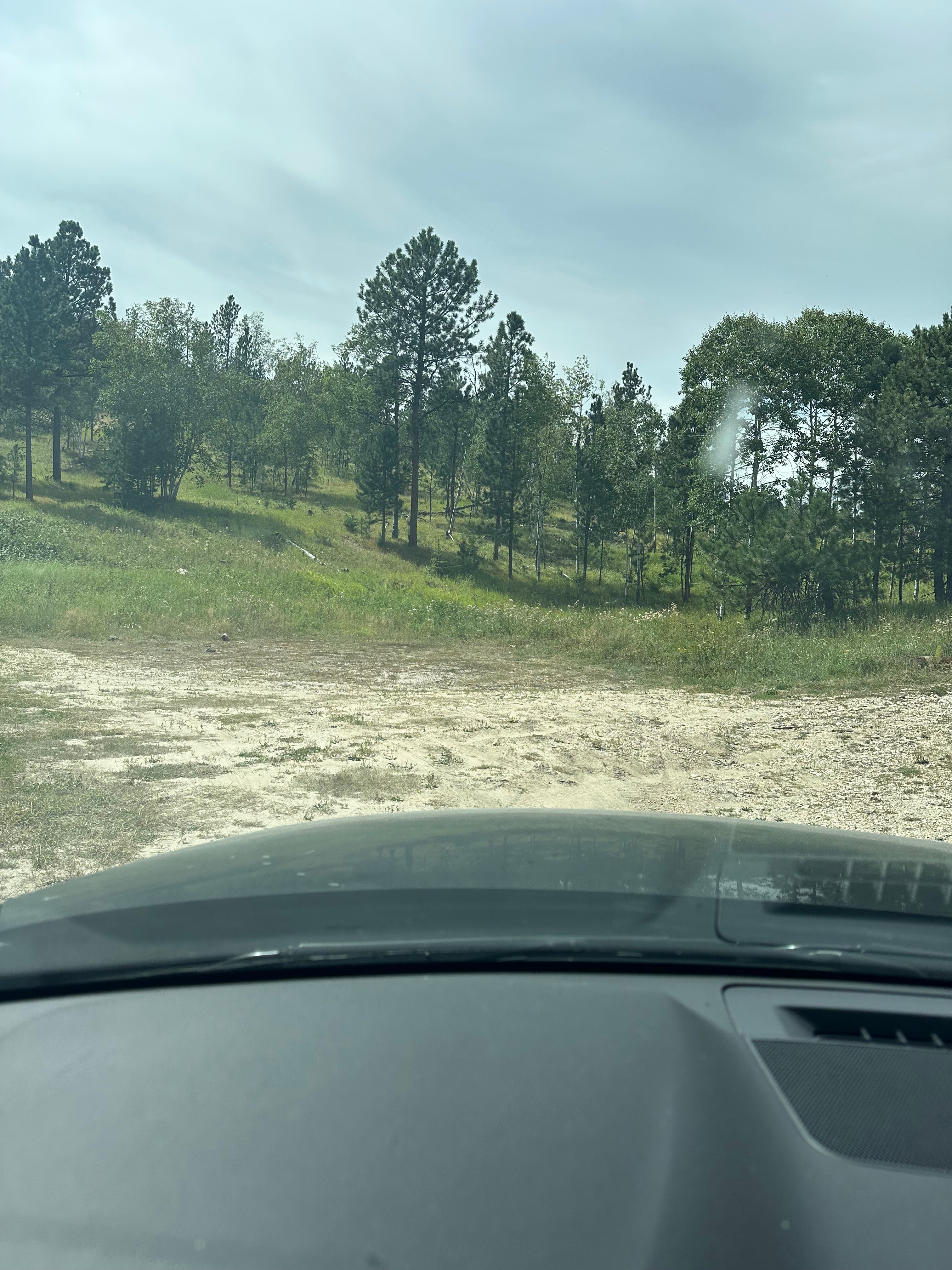 Camper submitted image from Needles Highway Dispersed Site - 3