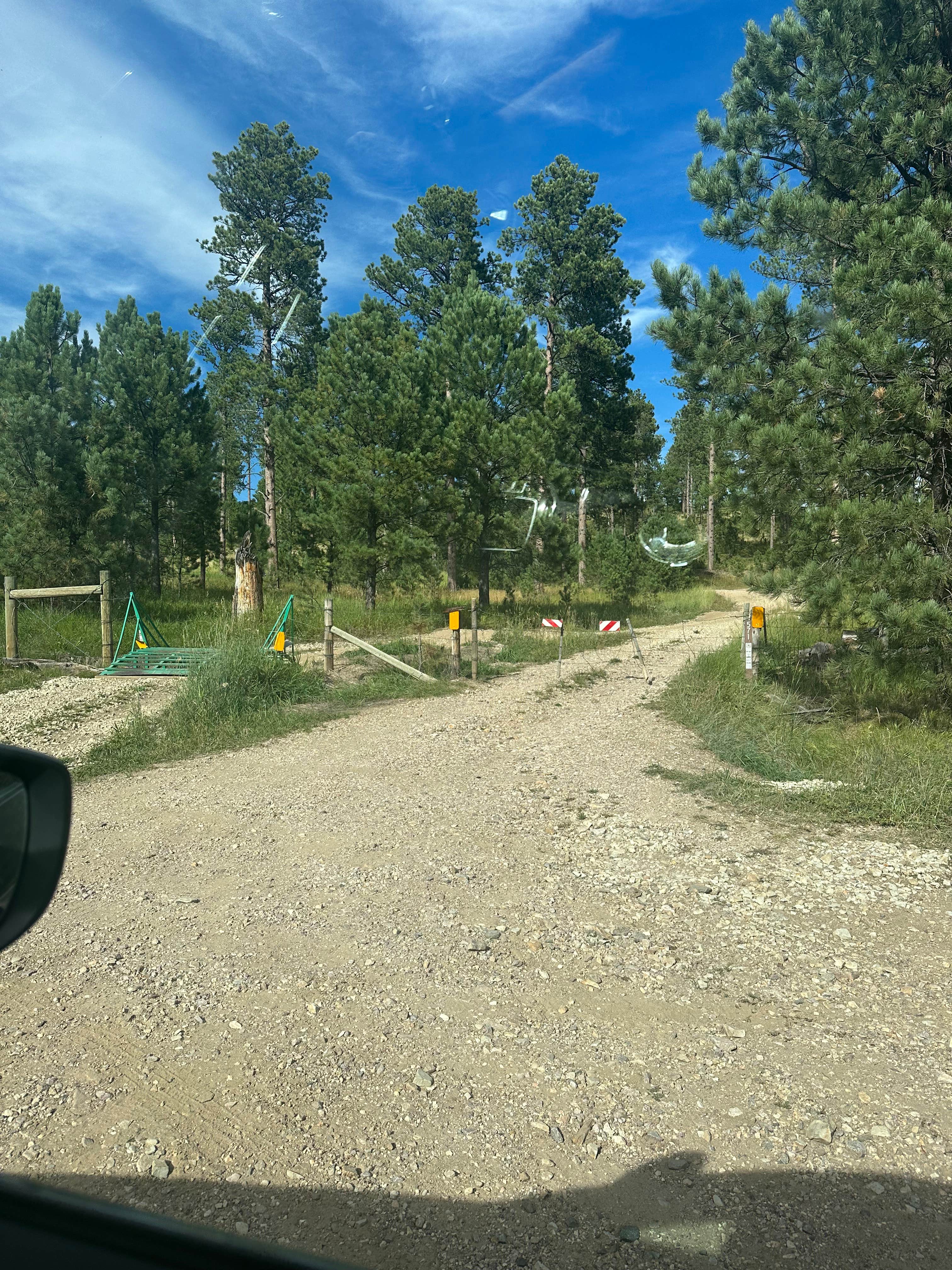 Camping near Steel Wheel Campground: Blackhills NF Dispersed Site, Nemo, South Dakota