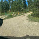 Review photo of Blackhills NF Dispersed Site by Clint M., September 6, 2023