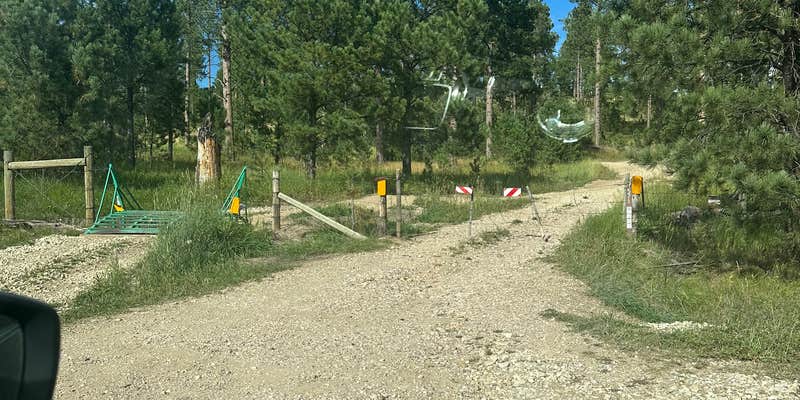 Camper submitted image from Blackhills NF Dispersed Site