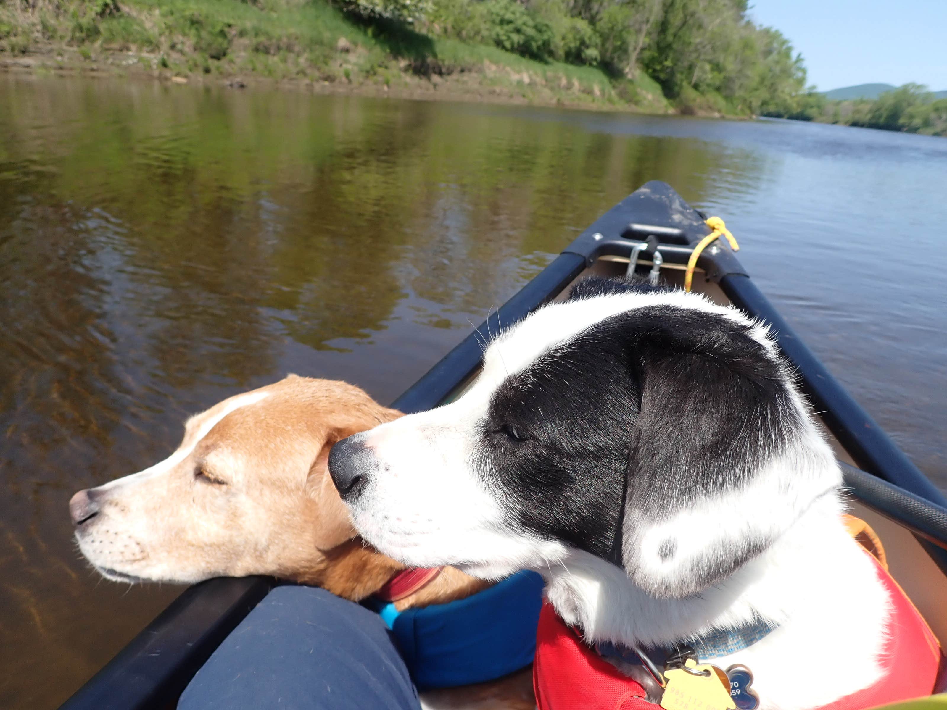 Camper-submitted photo at Lyman Falls State Park Campground near Colebrook, NH