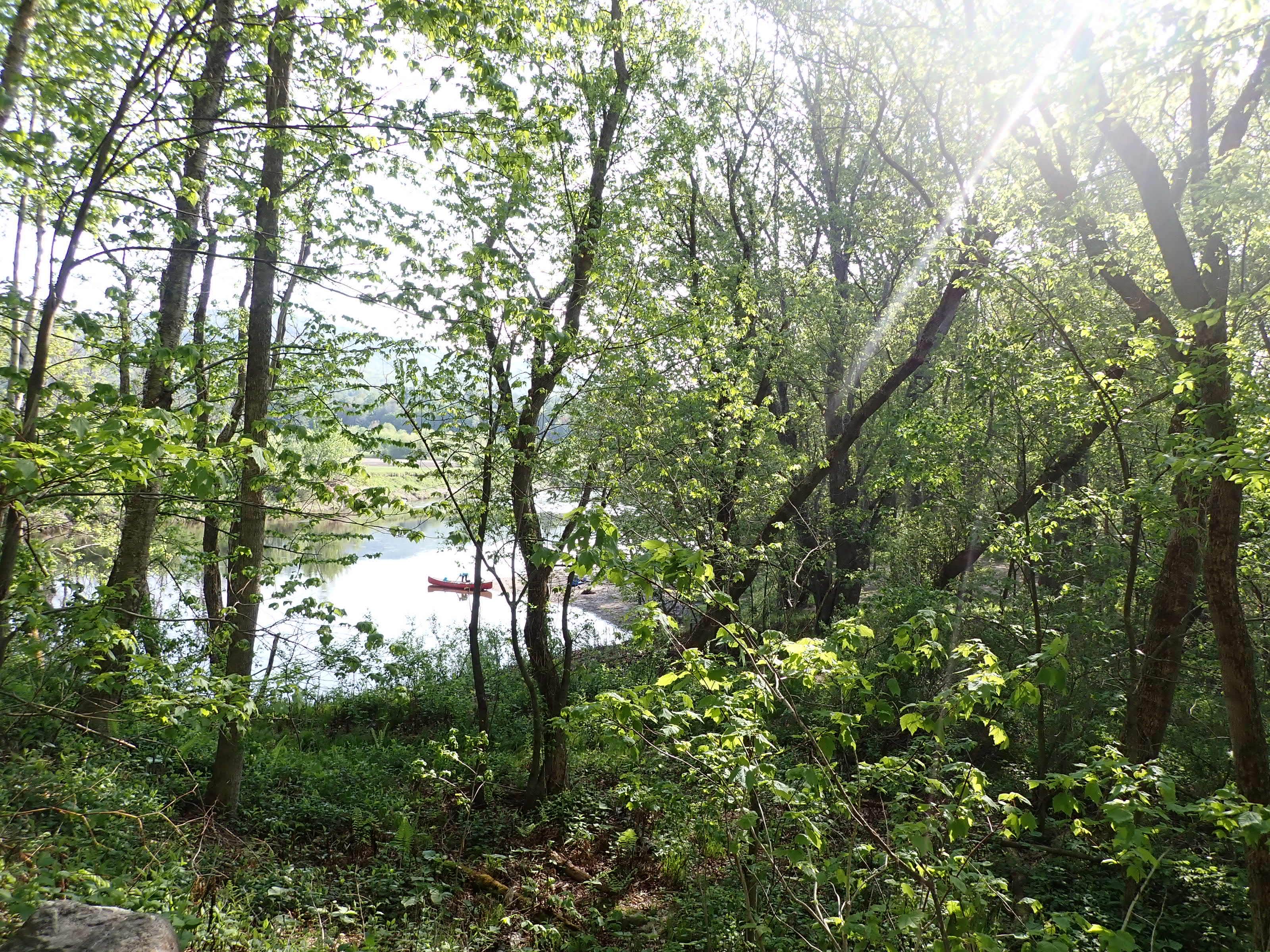 Camper-submitted photo at Lyman Falls State Park Campground near Island Pond, VT