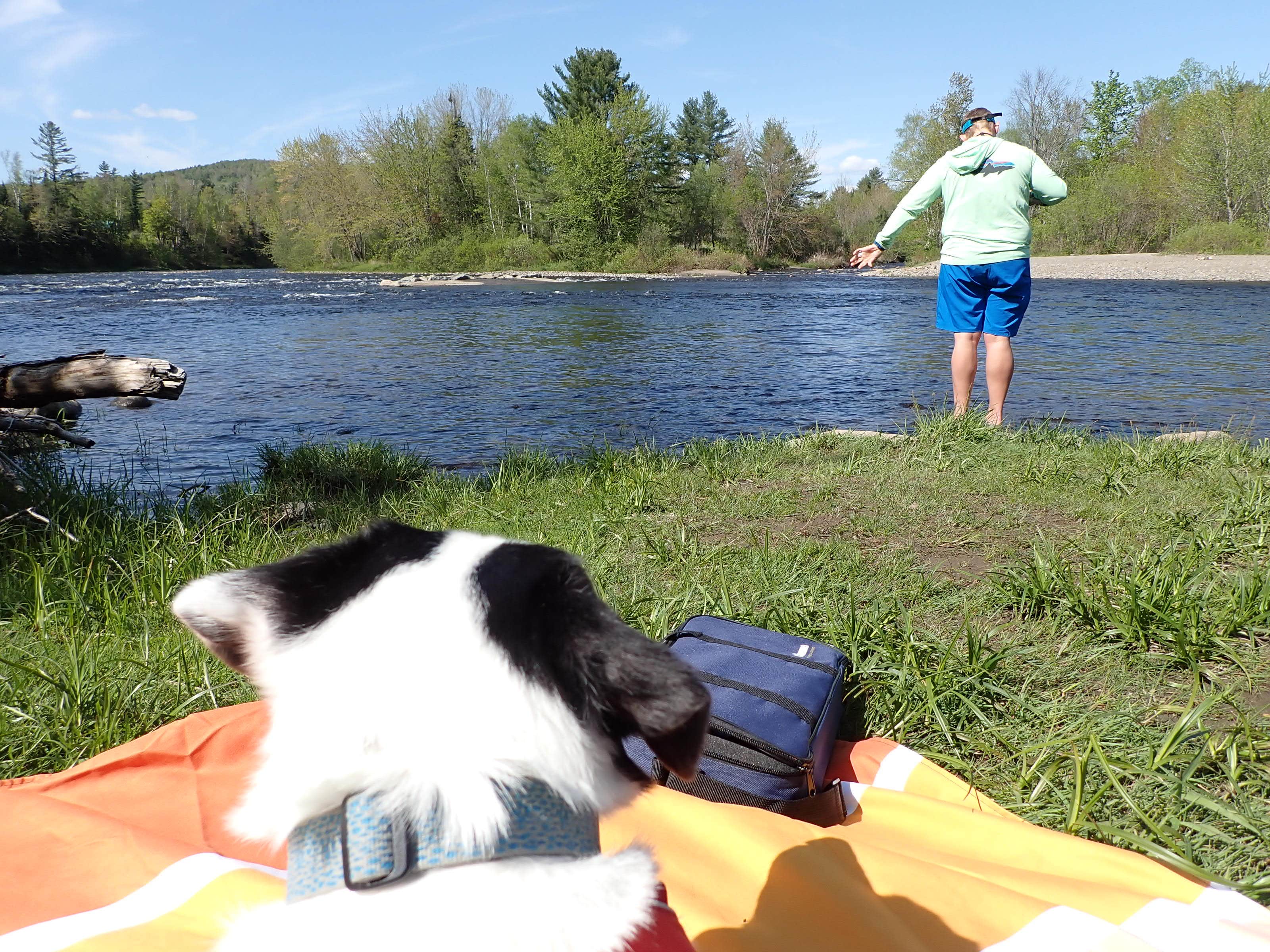 Camper-submitted photo at Lyman Falls State Park Campground near Island Pond, VT