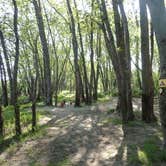 Review photo of Maine Railroad Trestle by Sarah C., September 6, 2023