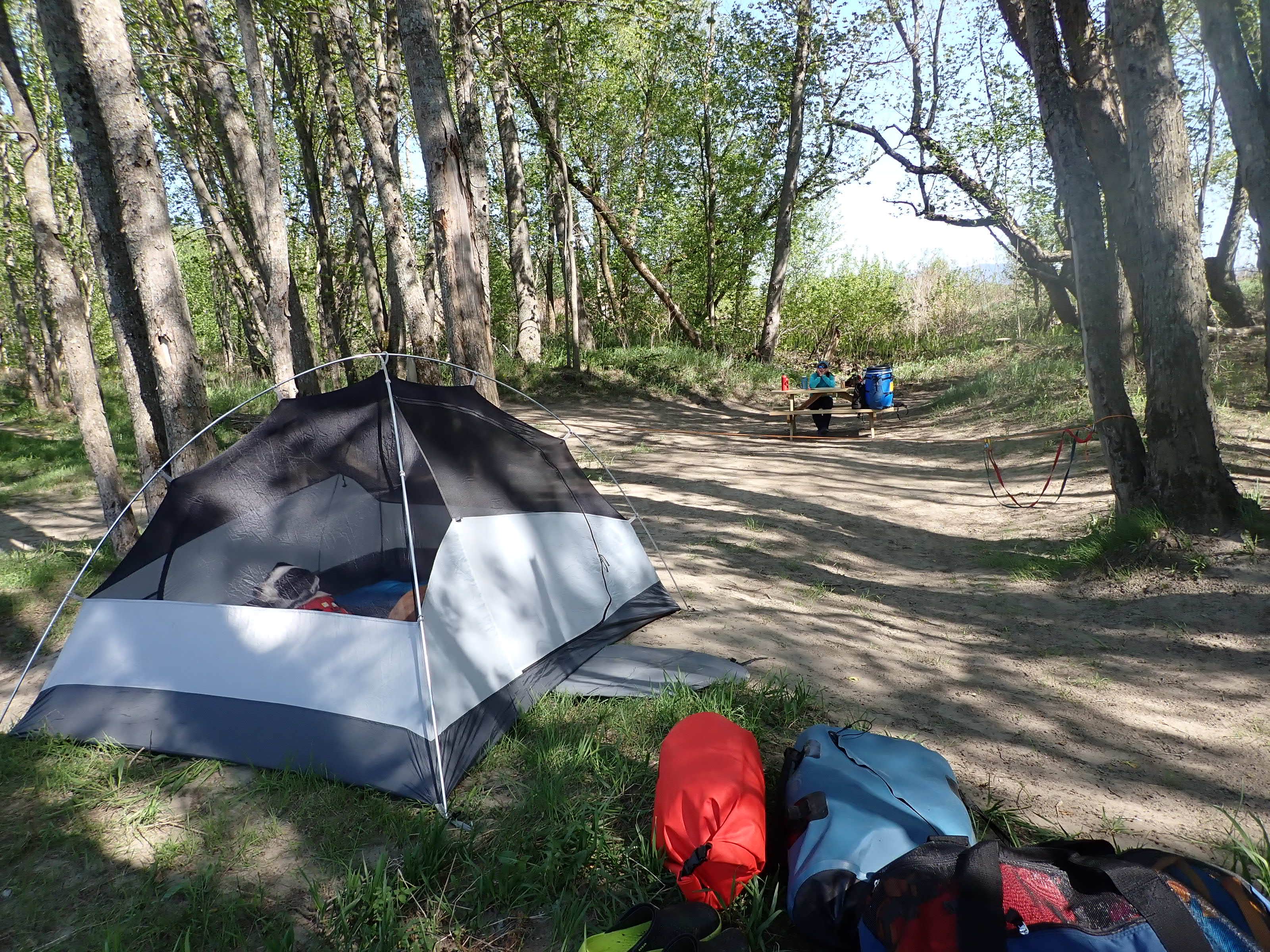 Sarah C.'s photo of tent camping at Maine Railroad Trestle near Eden Mills, VT