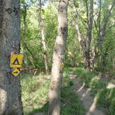 Review photo of Maine Railroad Trestle by Sarah C., September 6, 2023