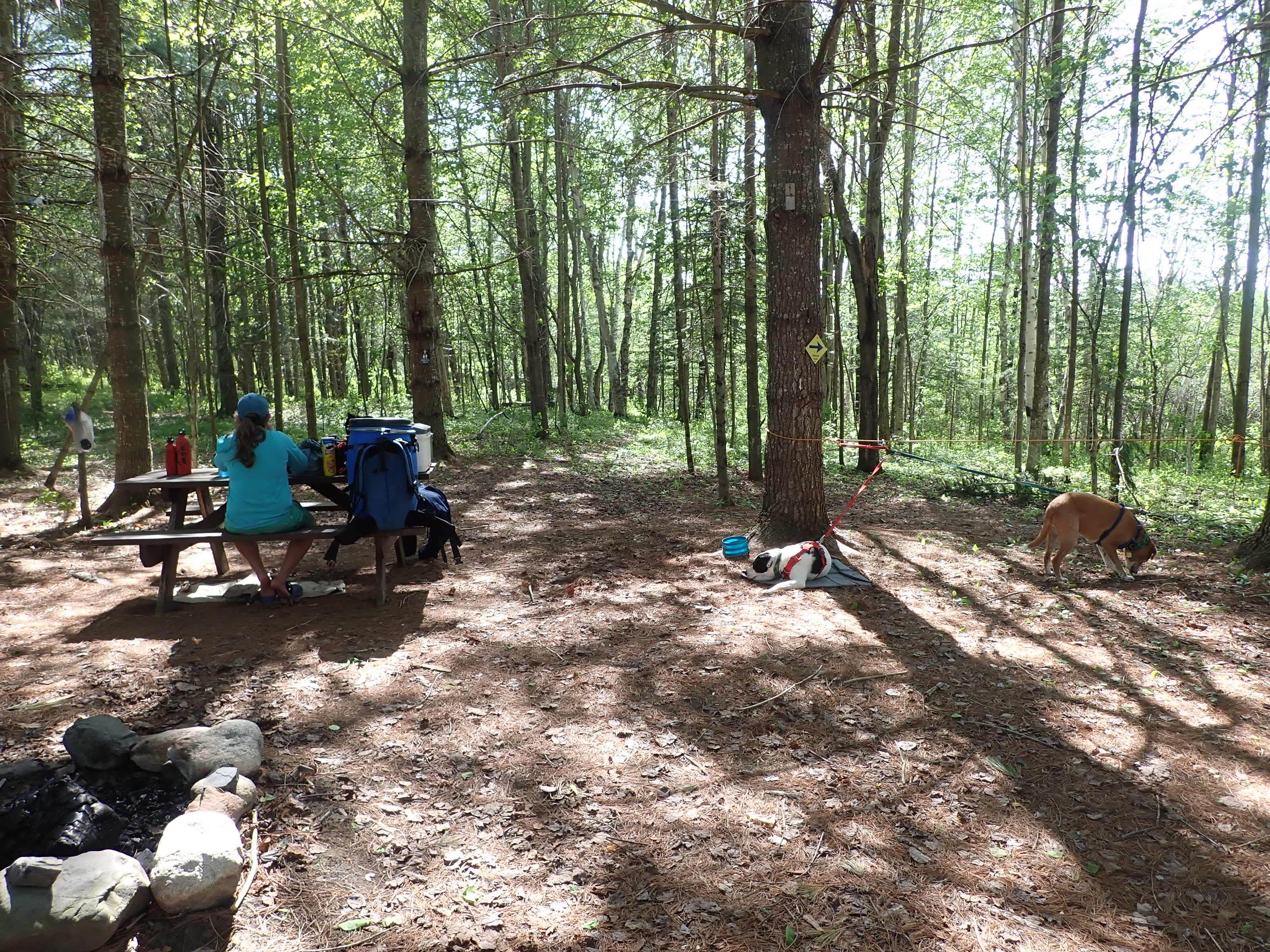 Sarah C.'s photo of a dispersed camping area at Scott C. Devlin Memorial near Bradford, VT