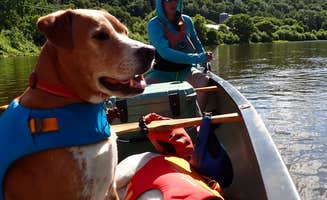Sarah C.'s photo of camping with pets at Maidstone State Park — Maidstone State Forest near St. Johnsbury, VT