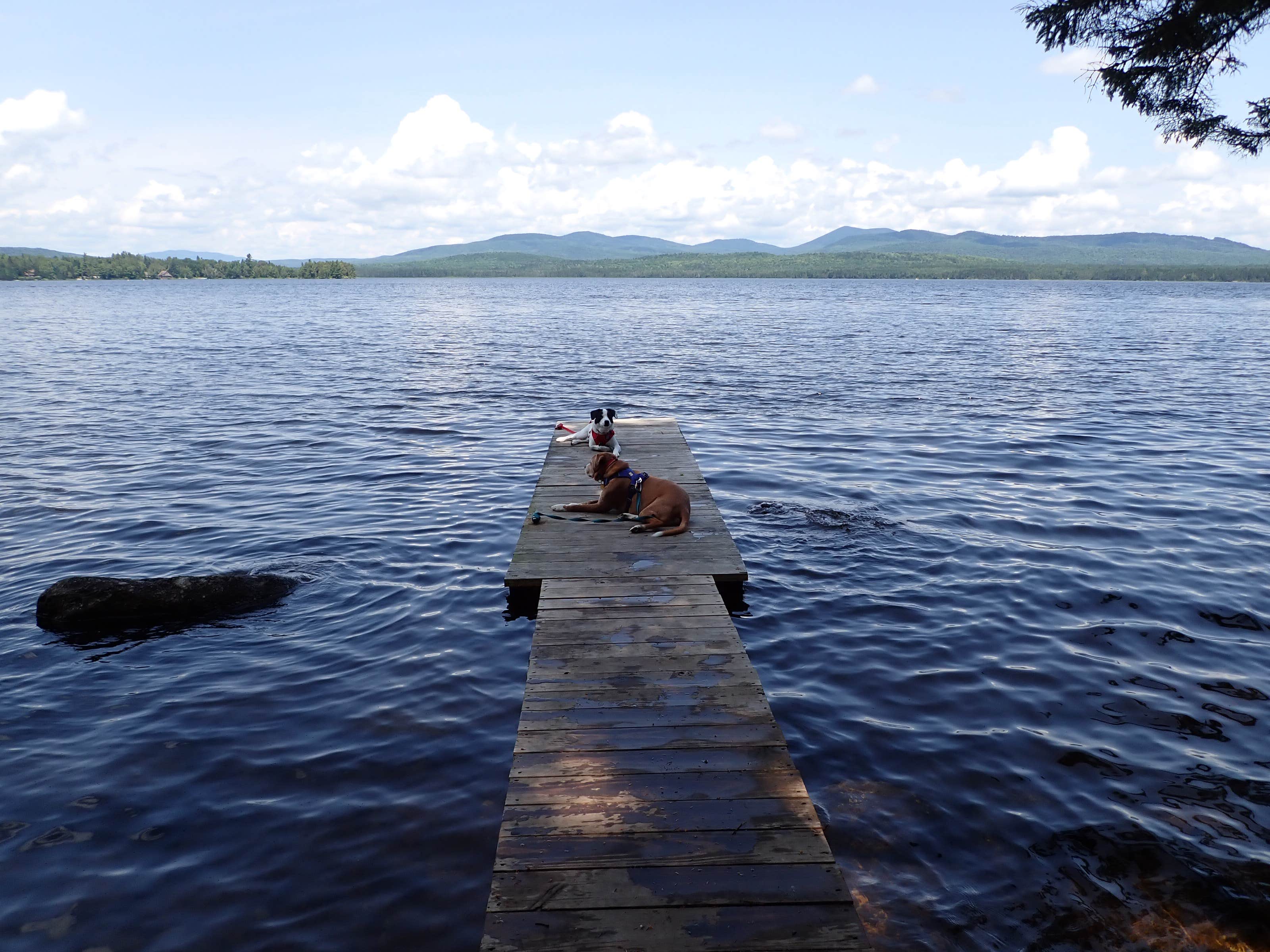 Camper submitted image from Smudge Cove - 2