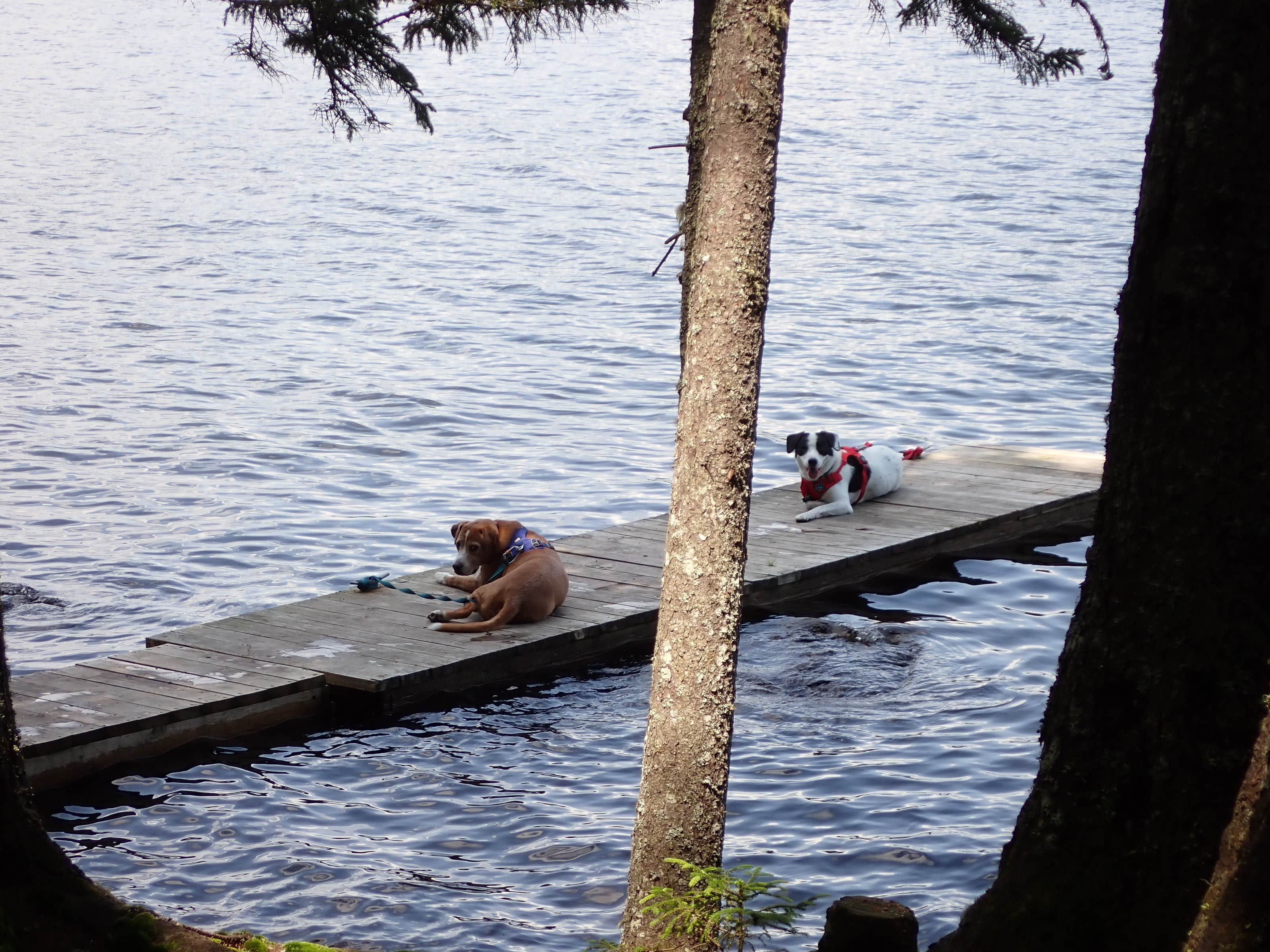 Camper submitted image from Smudge Cove - 3