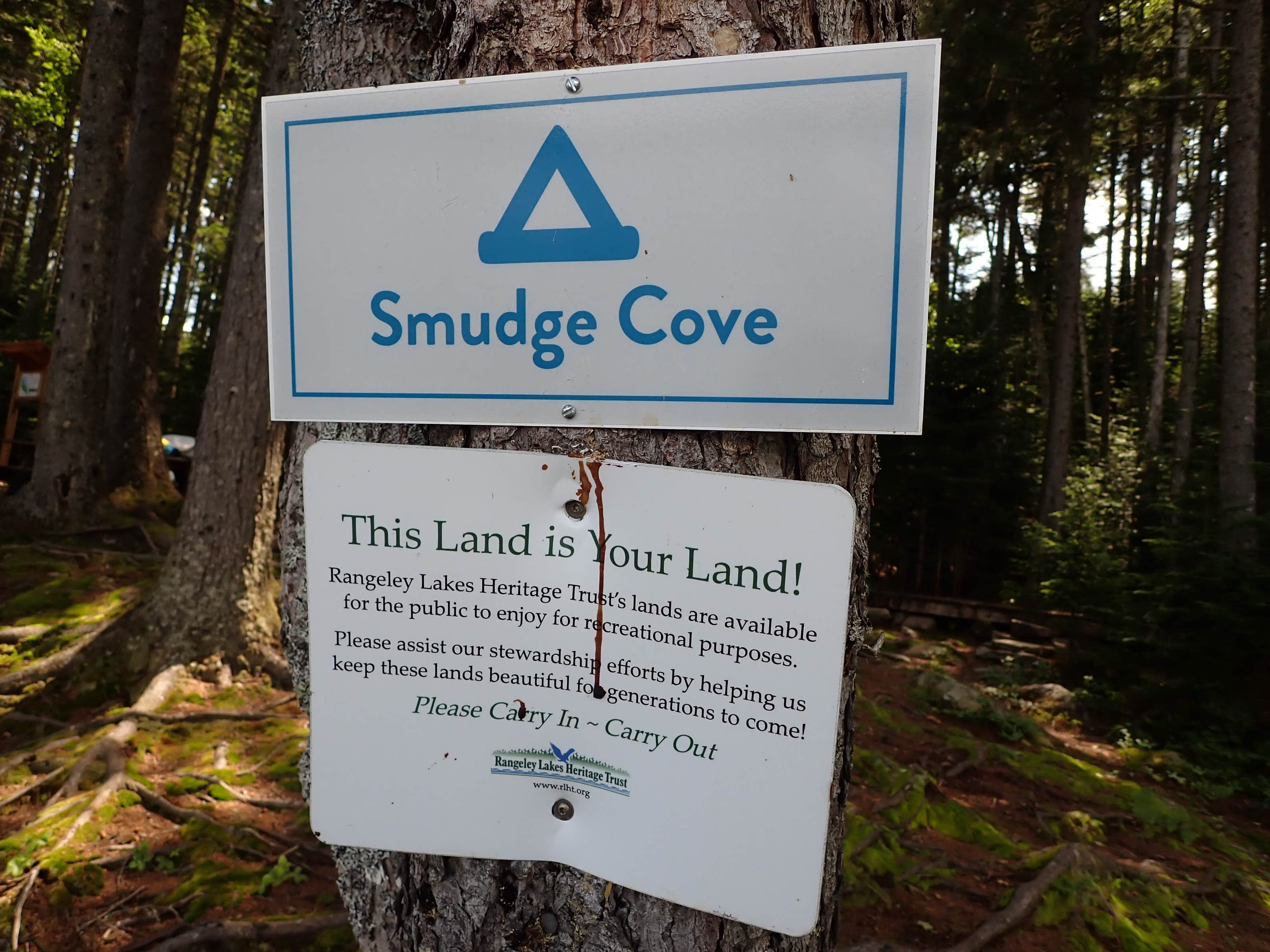 Camper-submitted photo at Smudge Cove near Peru, ME