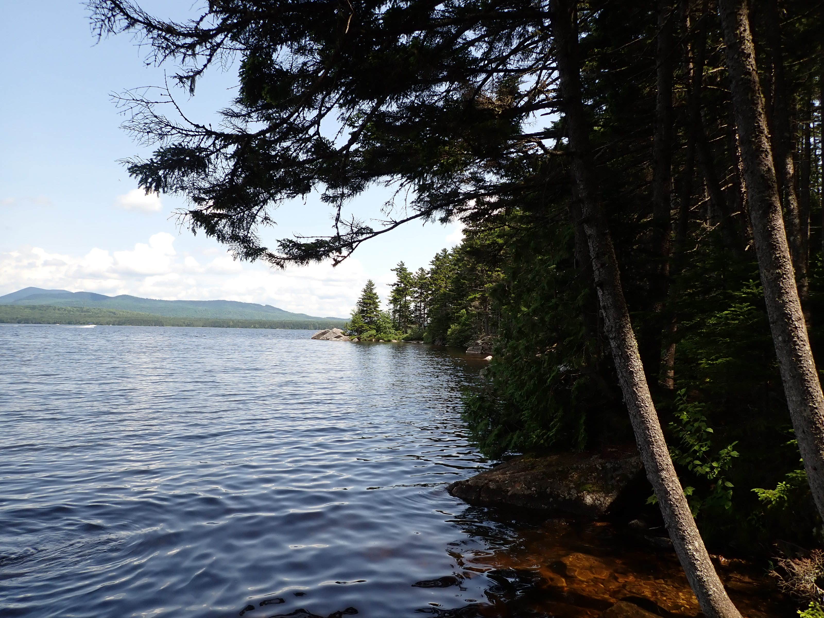 Camper-submitted photo at Smudge Cove near Peru, ME