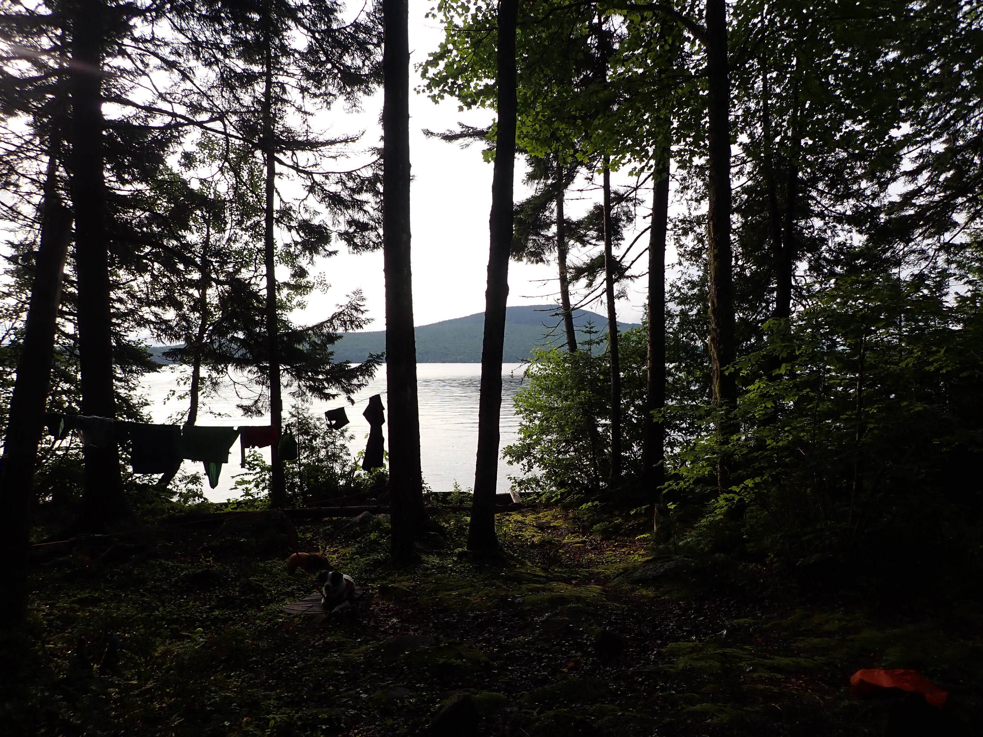 Sarah C.'s photo of a dispersed camping area at Eagle Cove near Peru, ME