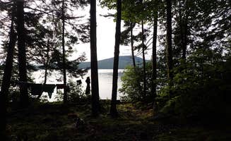 Sarah C.'s photo of a dispersed camping area at Eagle Cove in Maine