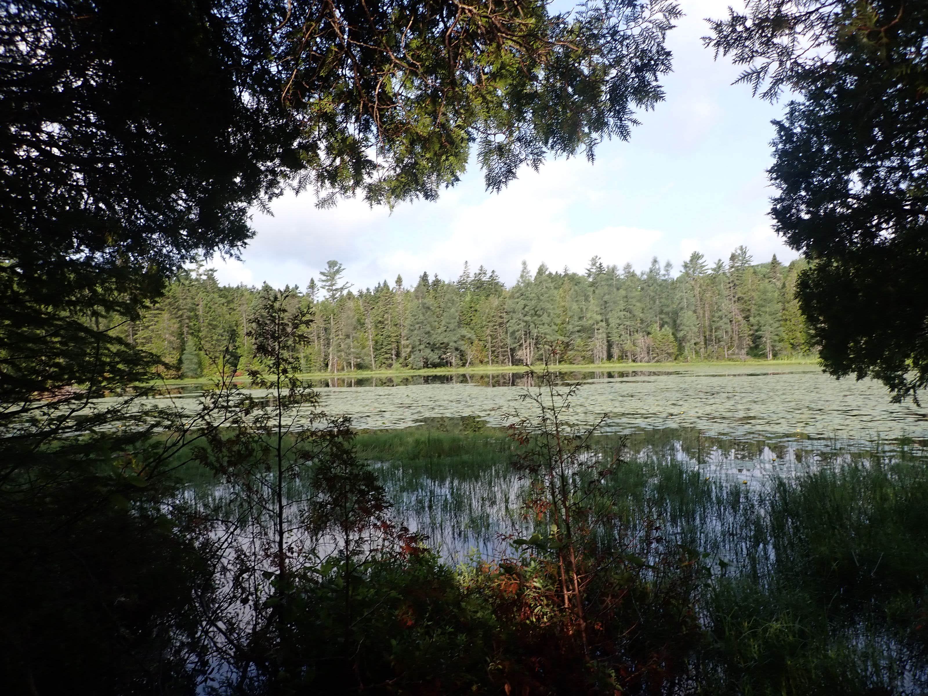 Camper-submitted photo at Eagle Cove near Peru, ME