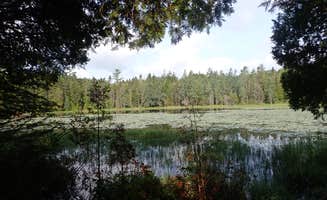 Sarah C.'s photo of a dispersed camping area at Eagle Cove in Maine