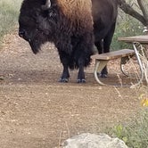 Review photo of Cottonwood Campground — Theodore Roosevelt National Park by Tonya T., October 30, 2018