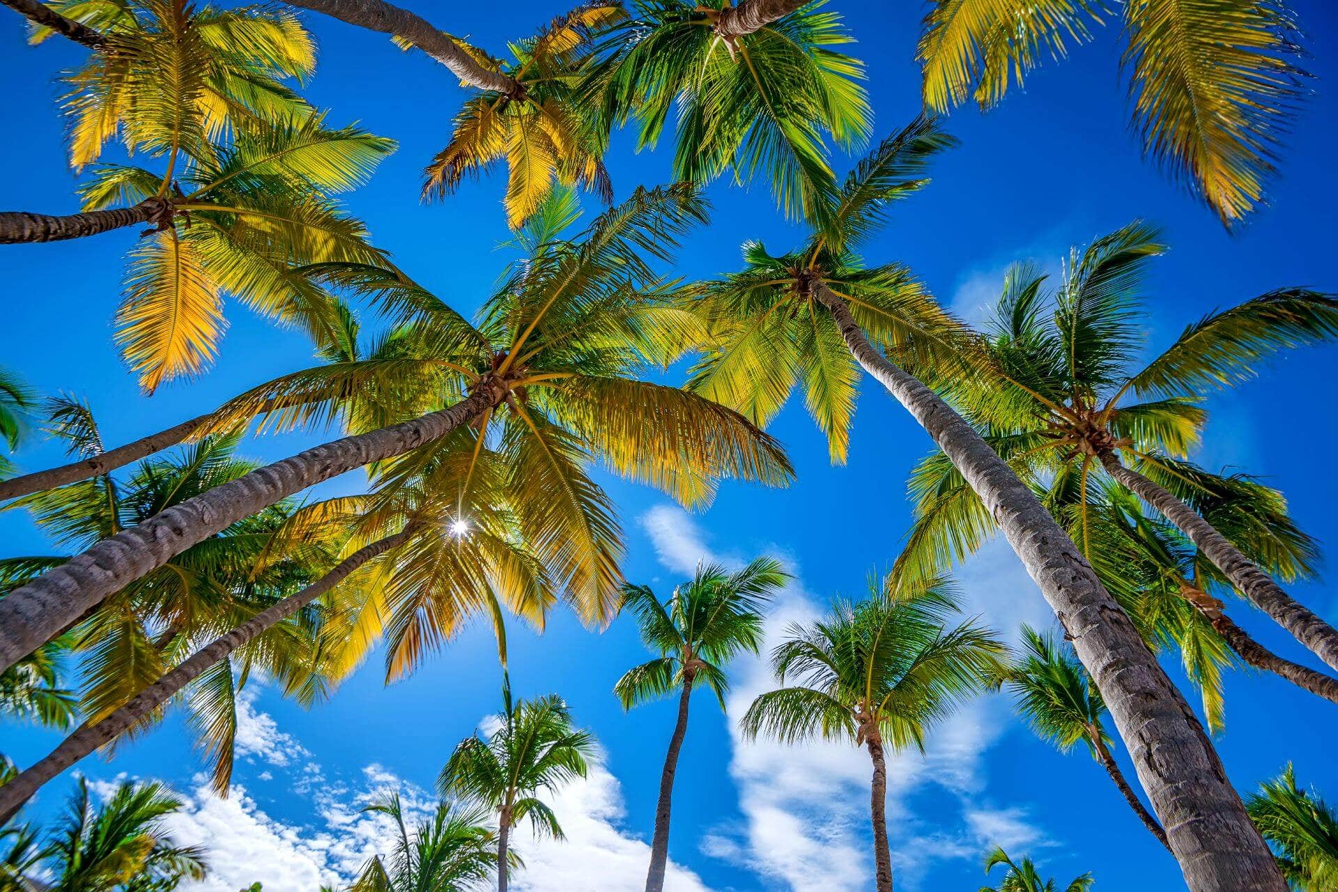 Paradise Found RV Resort & Marina