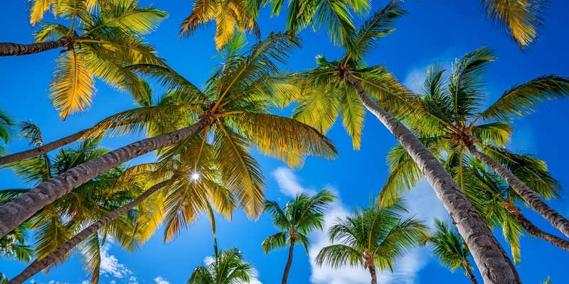 Camper submitted image from Paradise Found RV Resort & Marina