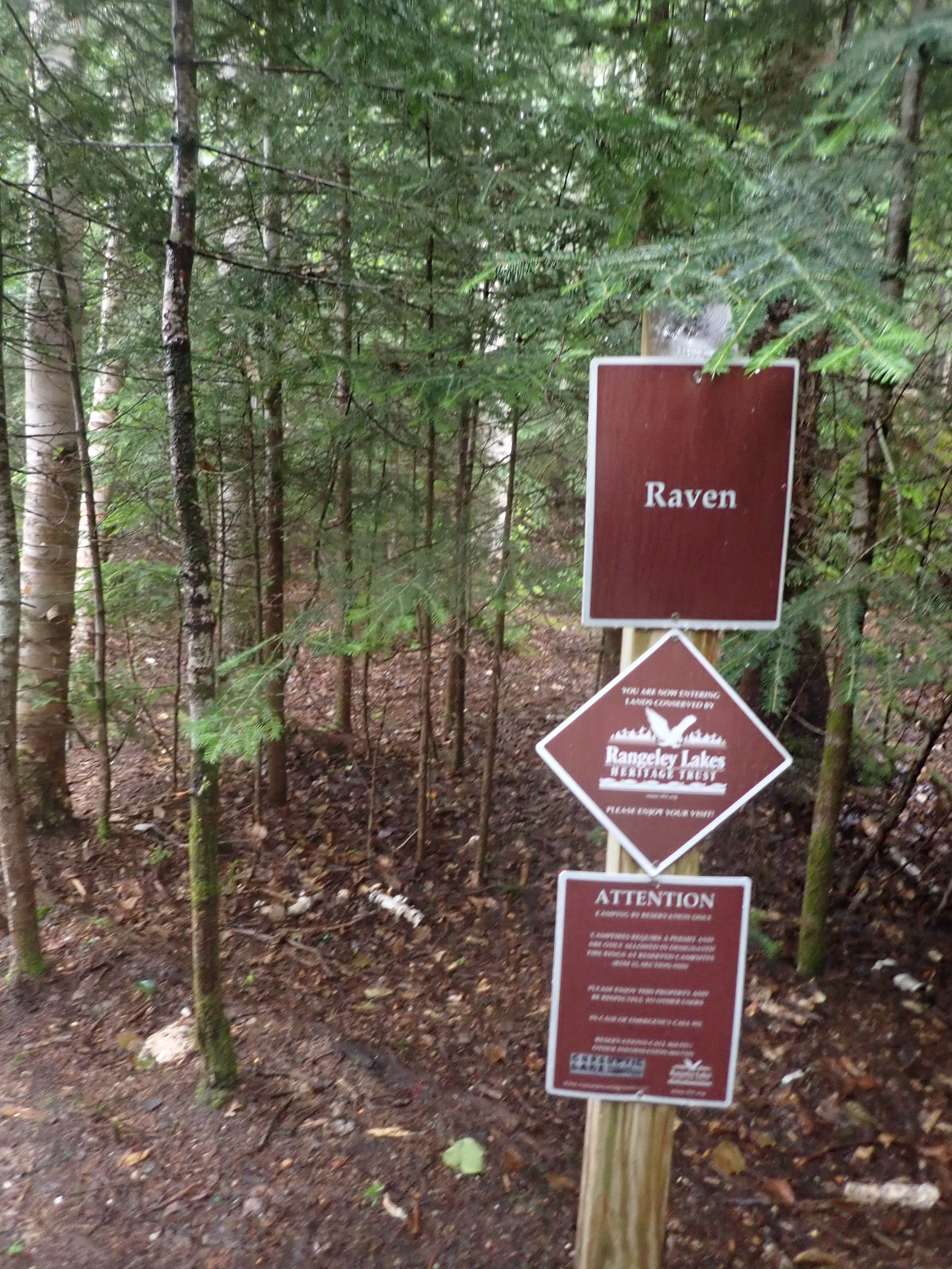 Camper-submitted photo at Raven near Peru, ME