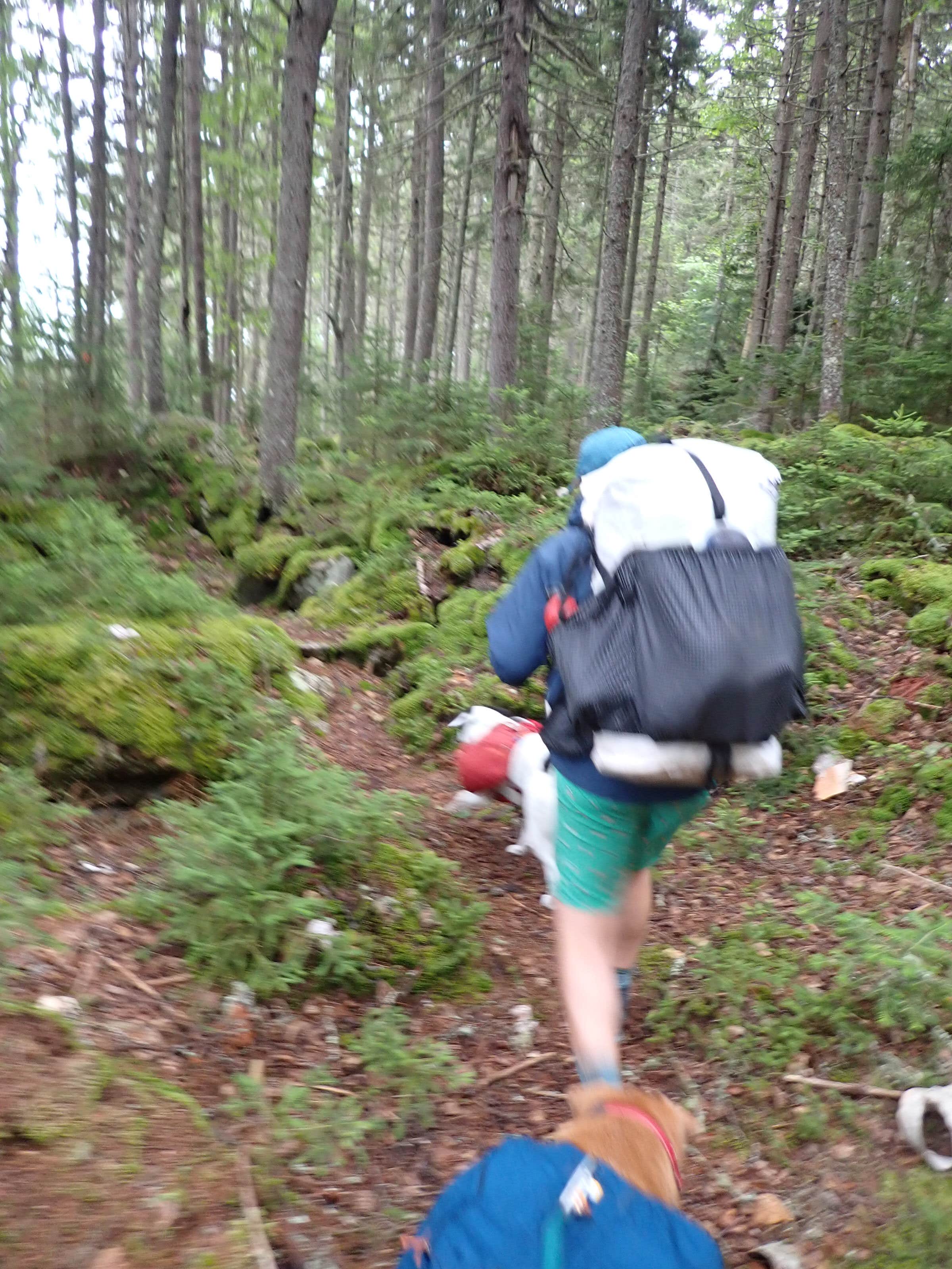 Camper-submitted photo at Raven near Peru, ME