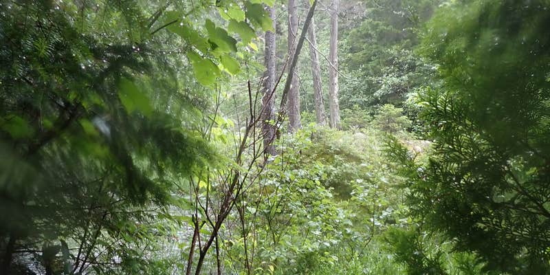 Camper submitted image from Raven