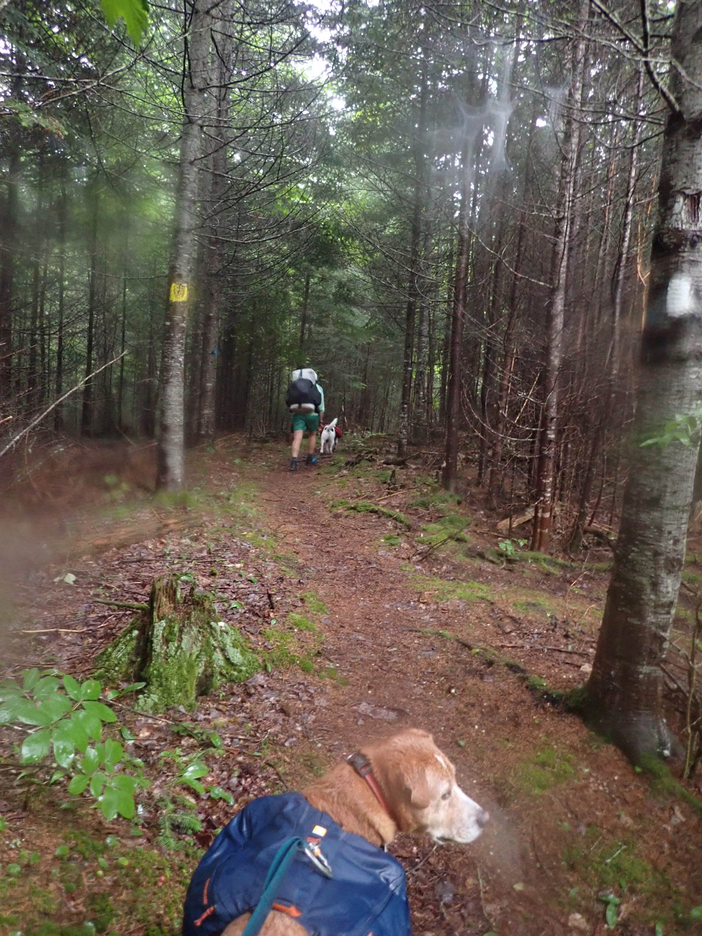 Camper-submitted photo at Raven near Peru, ME