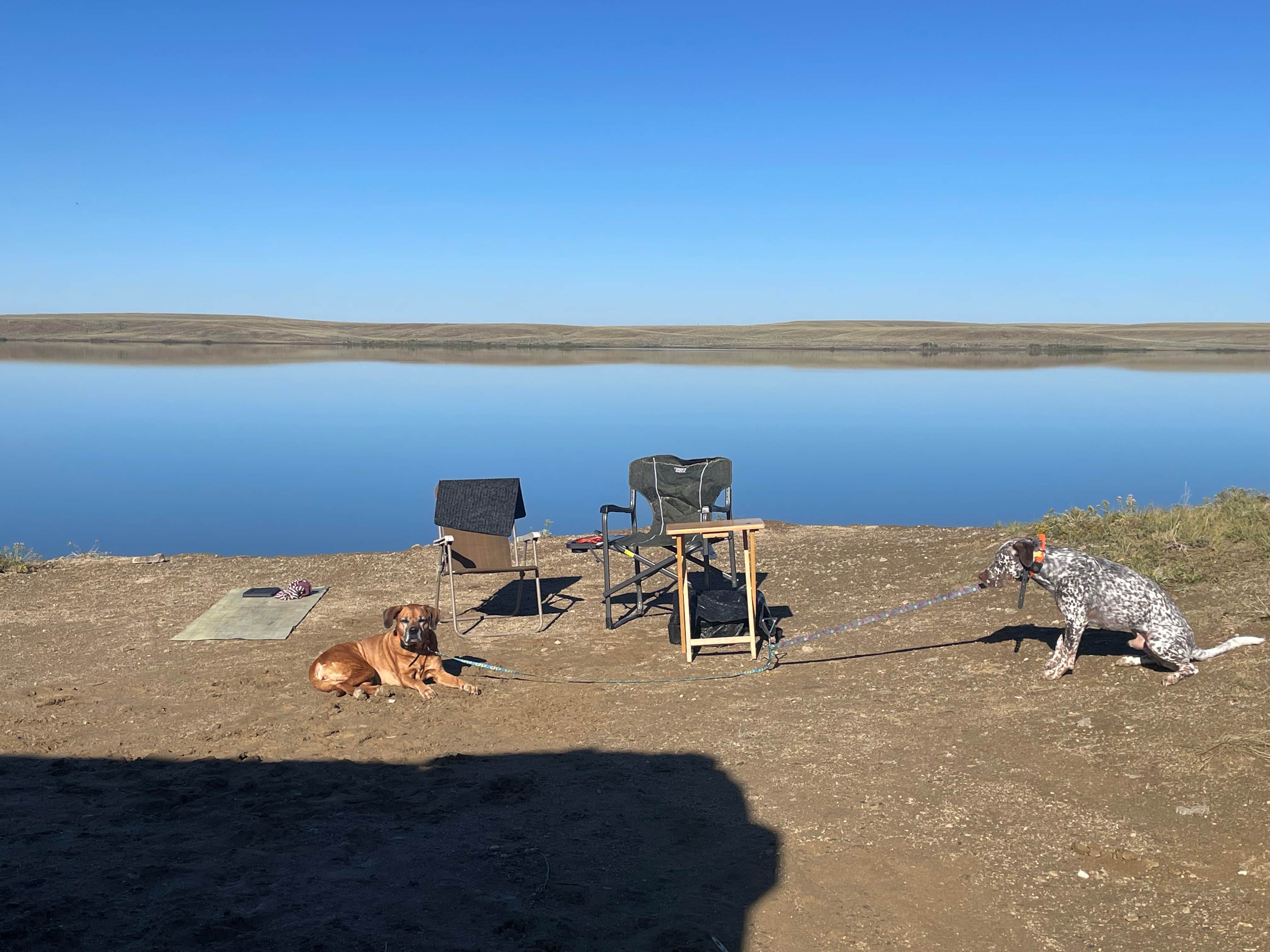 Gladys U.'s photo at Big Sandy Reservoir Rec Area near Rock Springs, WY