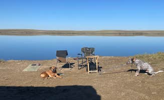 Gladys U.'s photo of camping with pets at Big Sandy Reservoir Rec Area near Superior, WY