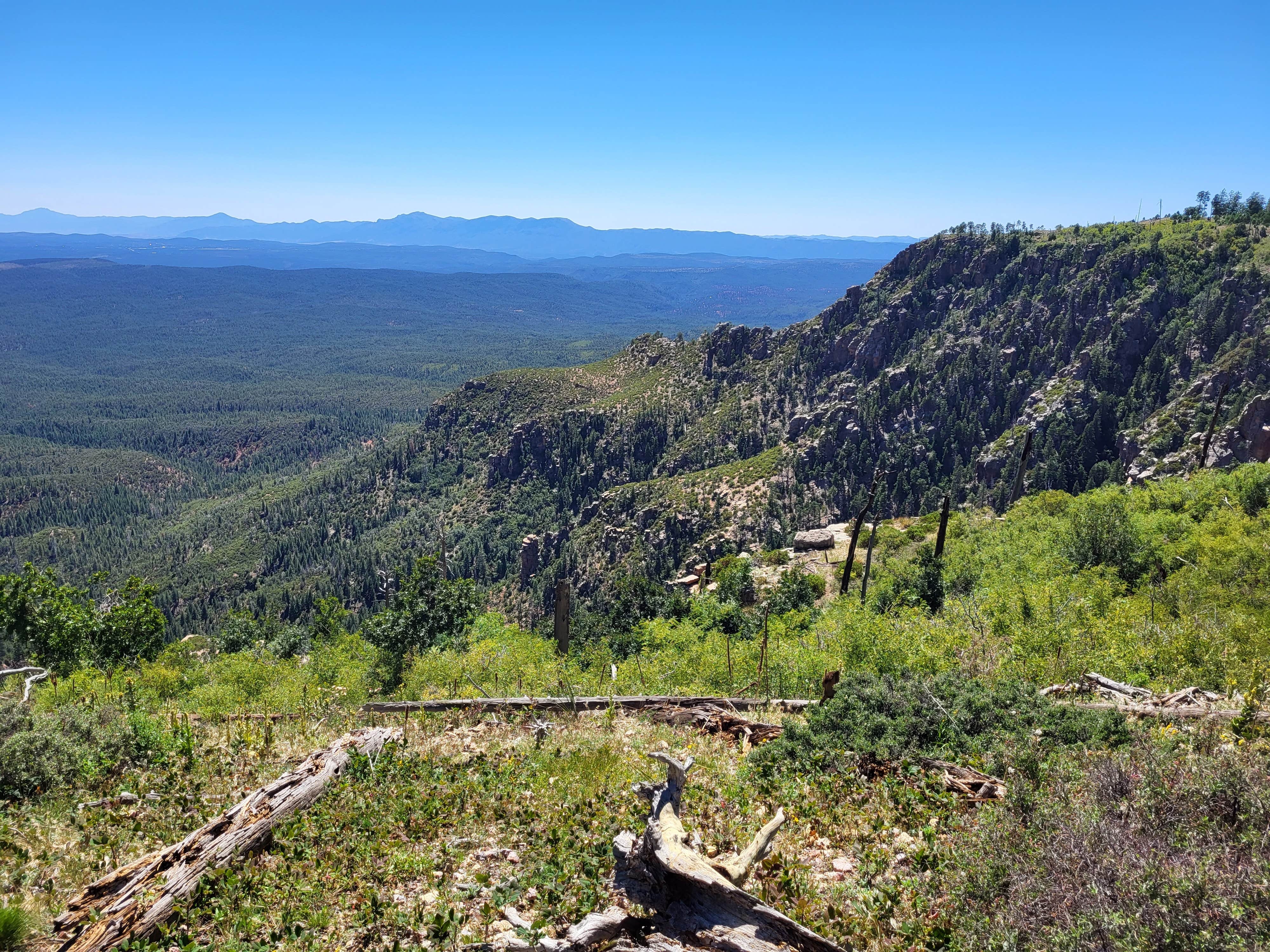 Camper-submitted photo at Molitor Spot Along Rim Road - Dispersed near Payson, AZ