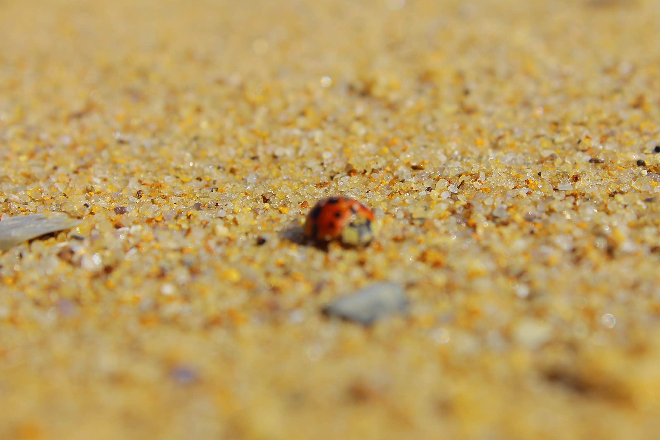 Camper-submitted photo at Calvert Cliffs State Park Youth Group Camping near Dowell, MD