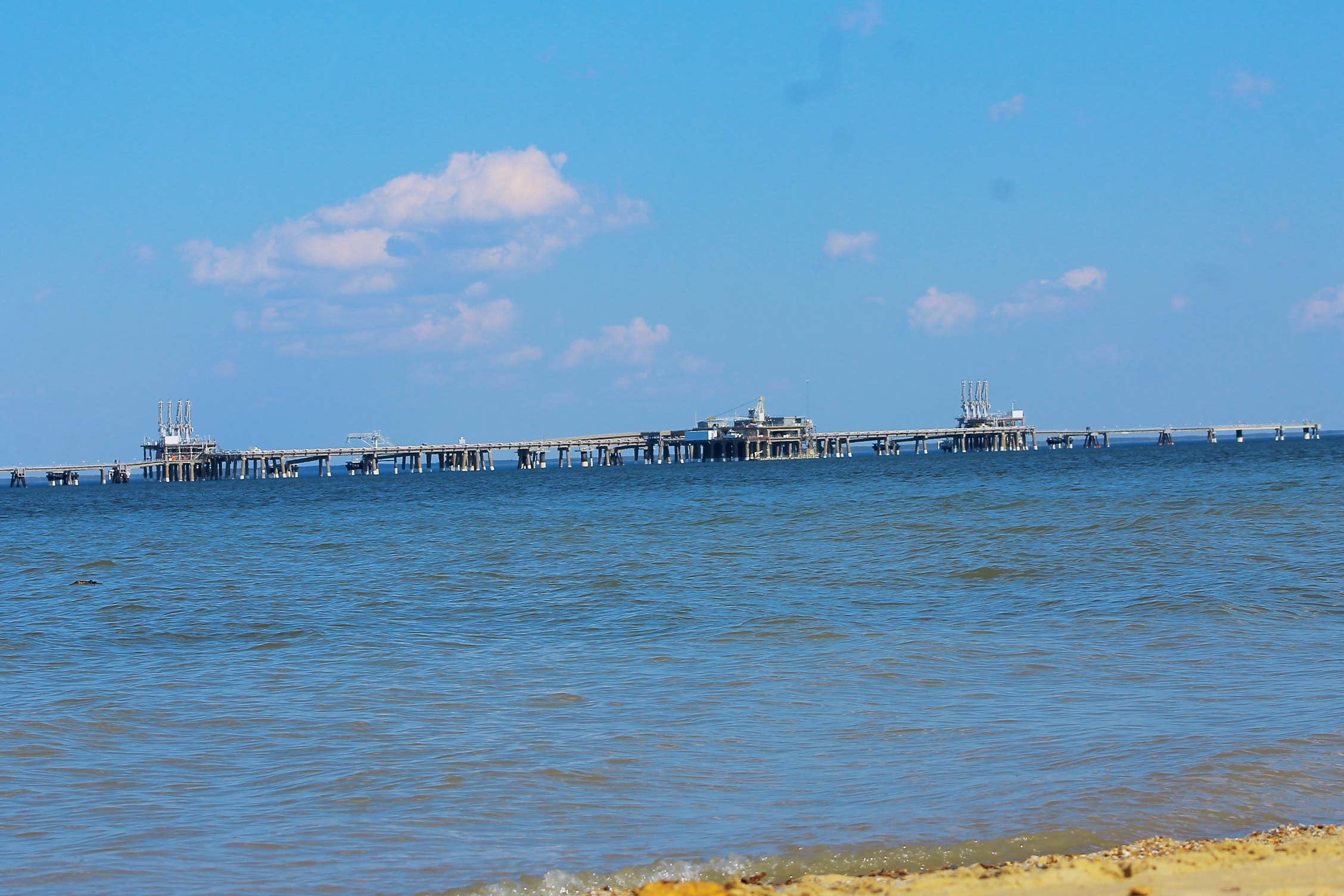 Camper-submitted photo at Calvert Cliffs State Park Youth Group Camping near Dowell, MD