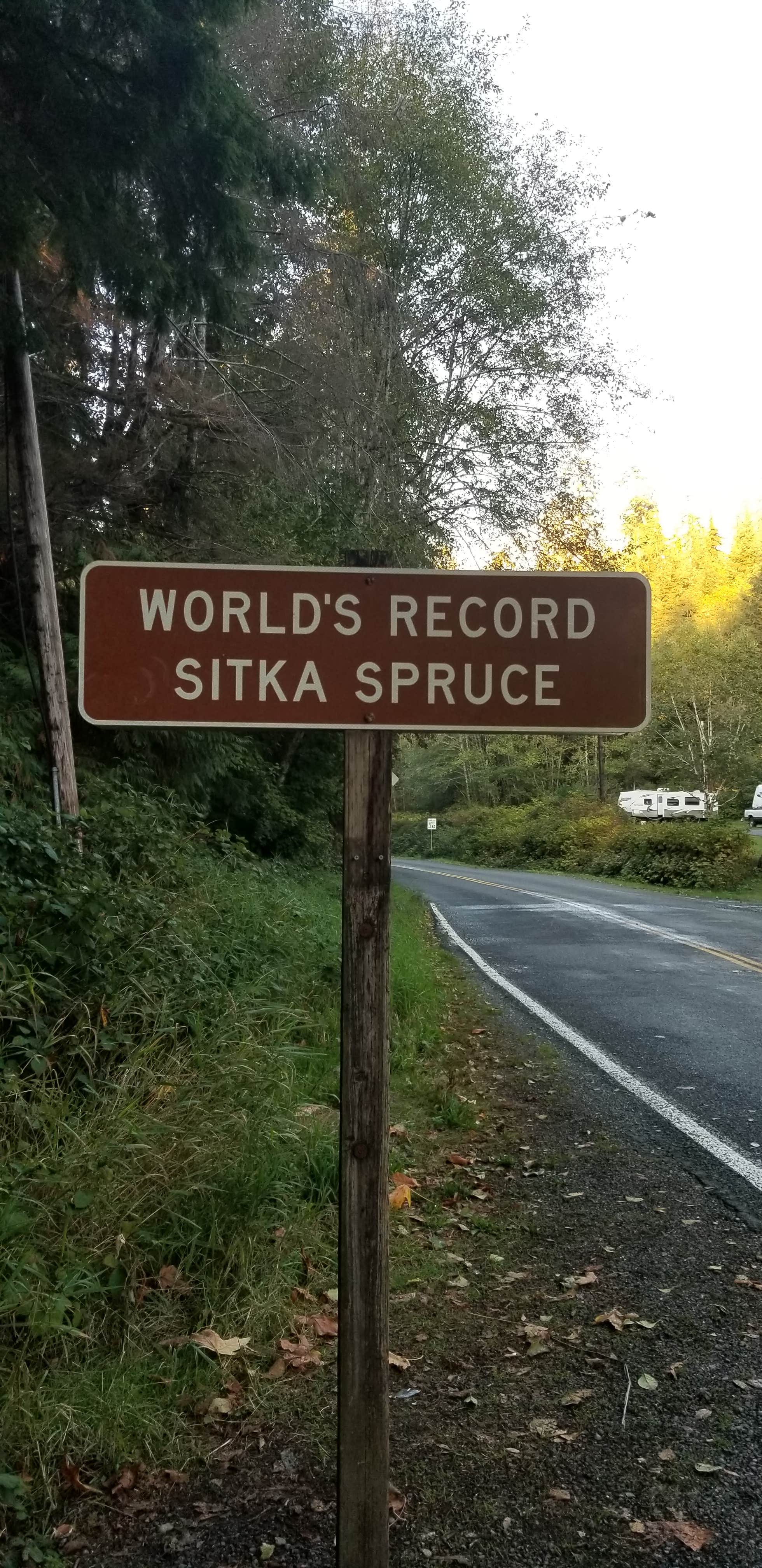 Signs & Maps