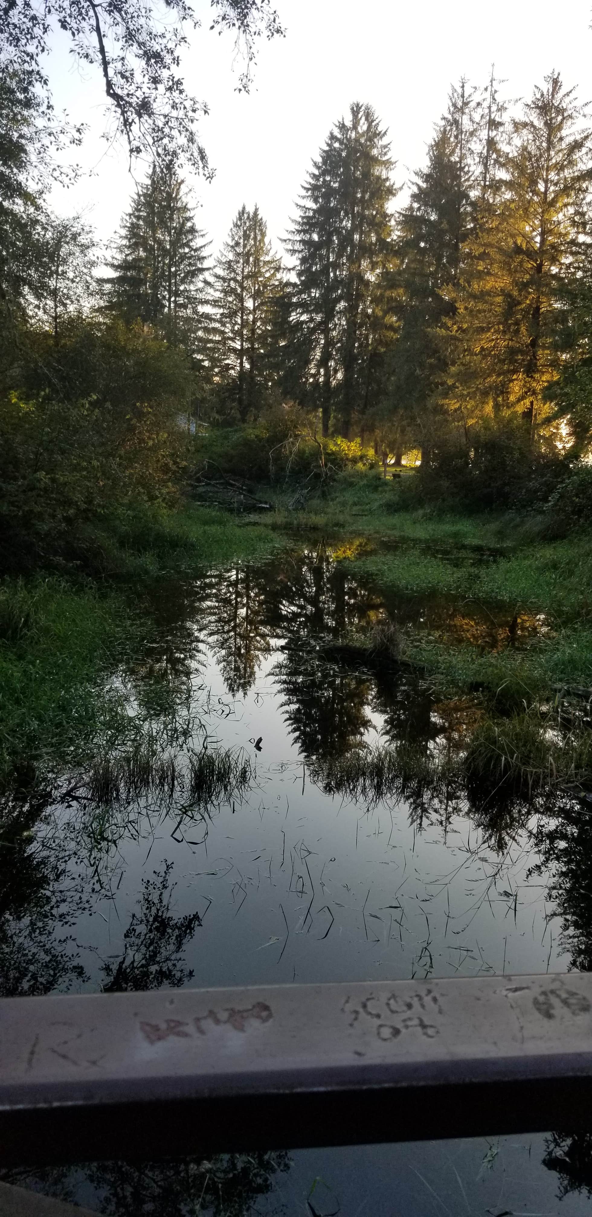 Water