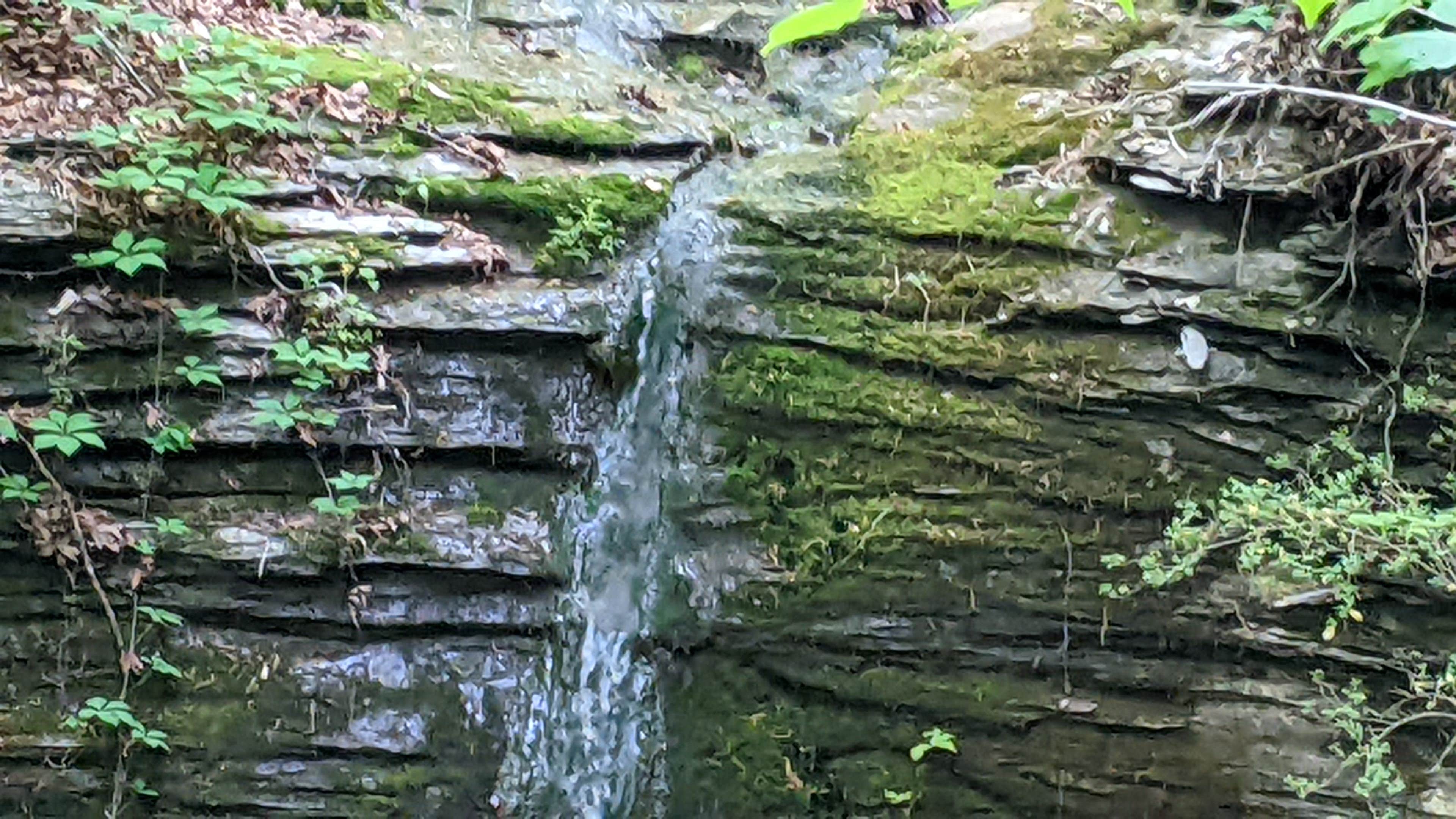 Camper-submitted photo at Harmony Ridge RV Park near Savannah, TN