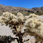 Review photo of Sawtooth Canyon Campground by Callie C., September 7, 2023