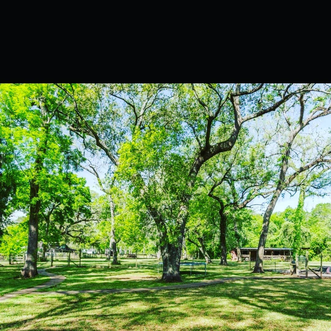 Camping near Austin Bayou Golf Course and RV Park: Rustic Creek, Rosharon, Texas