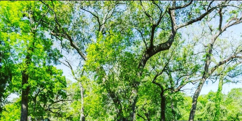 Camper submitted image from Rustic Creek