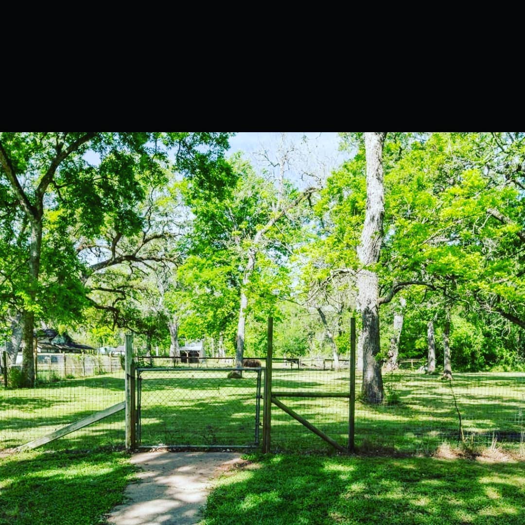 Camper-submitted photo at Rustic Creek near Damon, TX