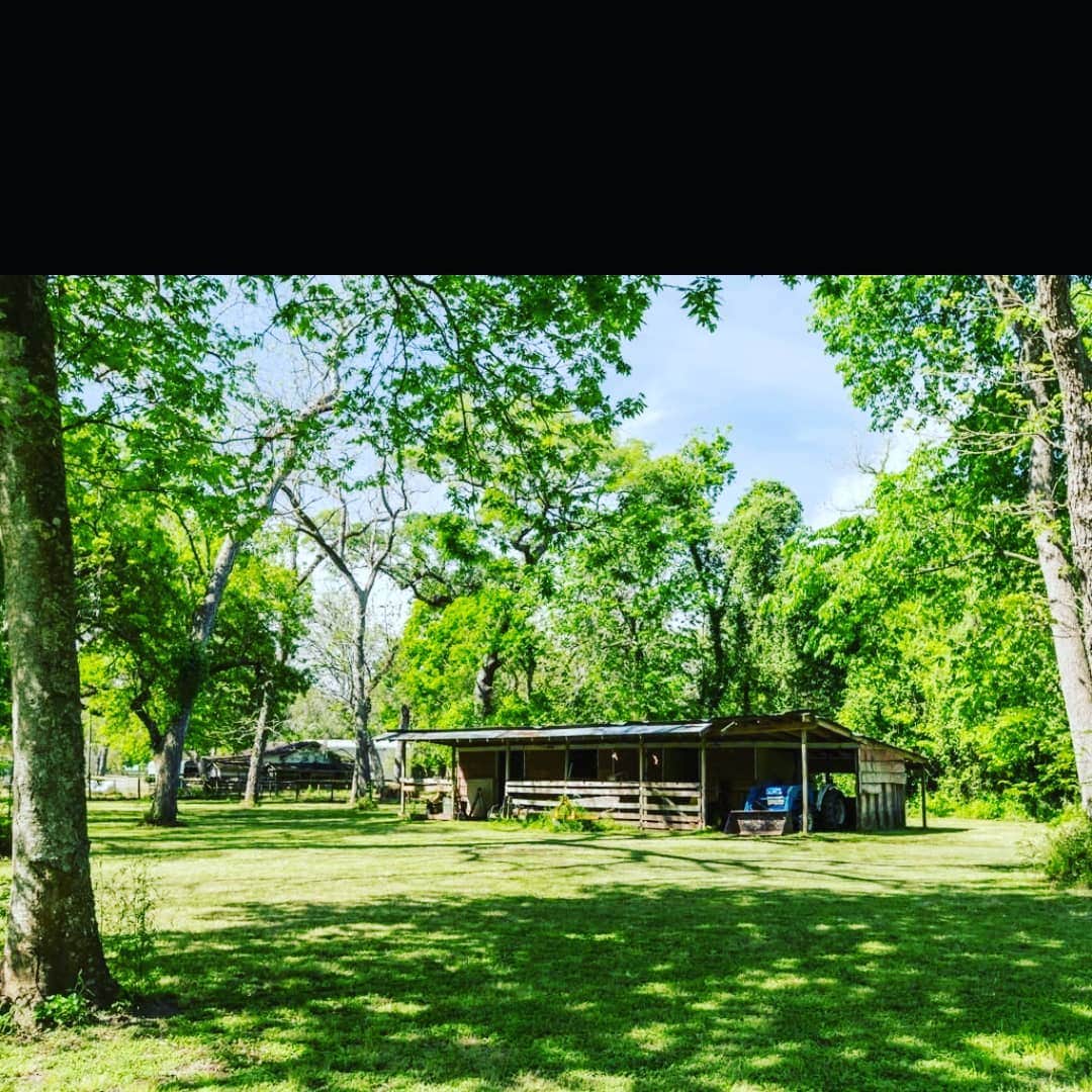 Camper-submitted photo at Rustic Creek near Damon, TX