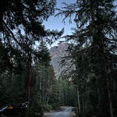 Review photo of Cougar Rock Campground — Mount Rainier National Park by Lily H., September 7, 2023