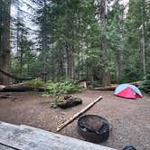 Review photo of Cougar Rock Campground — Mount Rainier National Park by Lily H., September 7, 2023